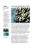 Leggi un suo articolo sulle Maldive
