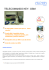 telecomando key- gsm