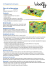 1587_Istruzioni di gioco - Woolfy