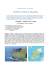 2014-05-23 IRLANDA