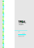 TEXAL Graphic _ web