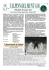 Giornale 081207 DEFINITIVO