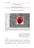 103 1. Intro Stephen J. Gould appartiene a quella cerchia di
