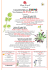 Programma - Slow Food