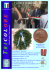 Tricolore n.168 - Tricolore Italia