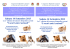 Regolamento_I nostri amici animali