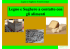 Legno e Sughero a contatto con gg gli alimenti