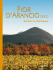 Libro - Consorzio Vini Colli Euganei
