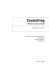 Controlling - Versus Verlag