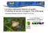 Noce Macfrut 2013 - Centro Servizi Ortofrutticoli