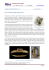 Scheda di approfondimento 5 - Breve storia del taglio del diamante