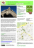 Roma città aperta 1943-1944 Nove mesi di