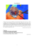 Scarica la versione PDF