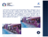 Note per gare di SkiCross
