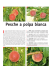 Pesche a polpa bianca