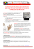 brochure olitouch