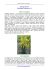 Verga d`oro - Pianteofficinali.org