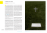 Le lettere e la morte