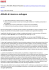 Attività di ricerca e sviluppo - Relazione Finanziaria Annuale