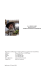 Curriculum completo - Dipartimento di Matematica