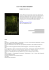 curriculum vitae - Fondazione Mondo Digitale