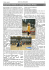 pag 15 CRONACA MARZO