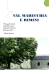 la val marecchia e rimini - The Chef is on the table
