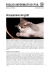 Occupazione dei gatti - Protezione Svizzera degli Animali PSA