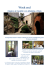 Week end - Castello di Gropparello