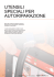 UTENSILI SPECIALI PER AUTORIPARAZIONE