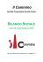 2012 - Consorzio Il Mosaico
