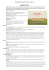 Donnafugata: Language Select
