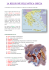 la religione nell`antica grecia