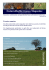 Magazine n. 10 - Natura Mediterraneo