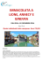 IMMACOLATA A LIONE, ANNECY E GINEVRA