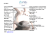 DAY SPA - ovaverva