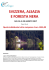 SVIZZERA, ALSAZIA E FORESTA NERA