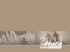 Catalogo home fitness Atala - ciclilalluccio.it