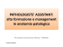 PATHOLOGISTS` ASSISTANT