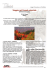 Programma in PDF