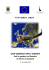 una gondola per l`europa