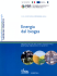 ENERgIA dAl bIOgAS - AIDA
