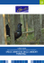 specie ornitiche degli ambienti forestali