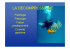 Dive Livello 1