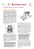 Scheda 4 - elettricità_rel02.pages