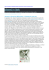 MARIO GEROSA Catalogo ACART - Assassin`s Creed Art (R)Evolution