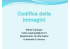 Codifica delle immagini - Dipartimento di Biotecnologie