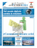 eCommerce niente crisi - La Gazzetta dell`Economia