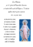Madonnina Bella - Scuola dell`Infanzia Maria Immacolata