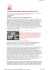 Pinnacle Studio Deluxe: editing video dalla A alla Z